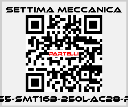 GR55-SMT16B-250L-AC28-RF2 Settima Meccanica