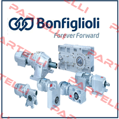 kit (ball bearings and closing caps) for VF49 12.300.506 Bonfiglioli