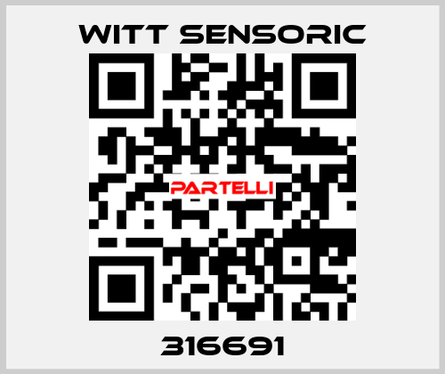 316691 Witt Sensoric