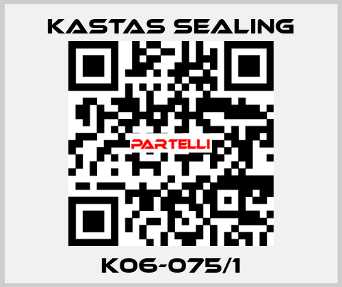 K06-075/1 Kastas Sealing