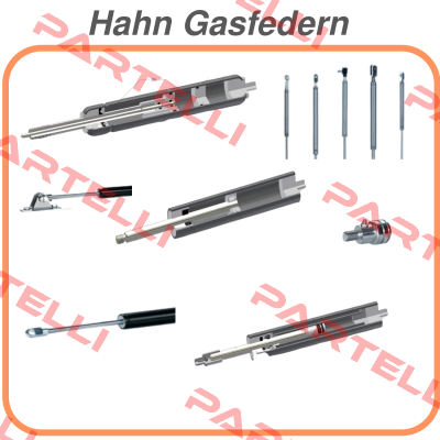 1096977 Hahn Gasfedern