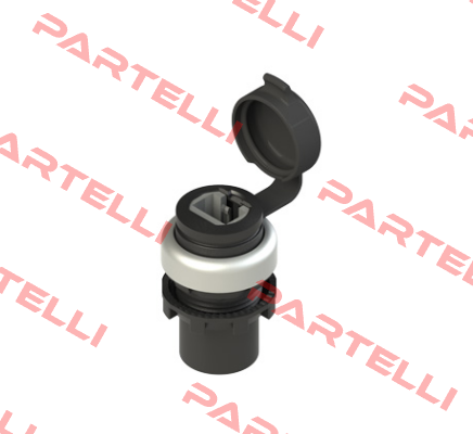 E2 1RJ459AAK Pizzato Elettrica