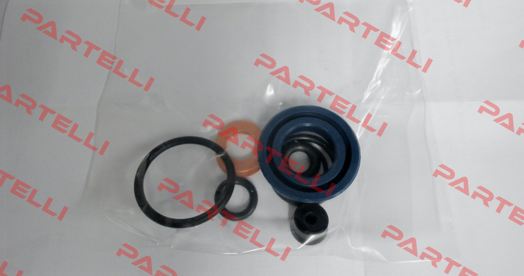 P/N: 10104, Type: Seal kit for V5 GKS-Perfekt