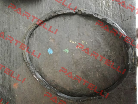 O-ring for Serial n. CF 0010373   Tecofi