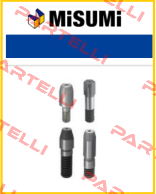 FPNLA10-P15-L1-B12-ML10  Misumi