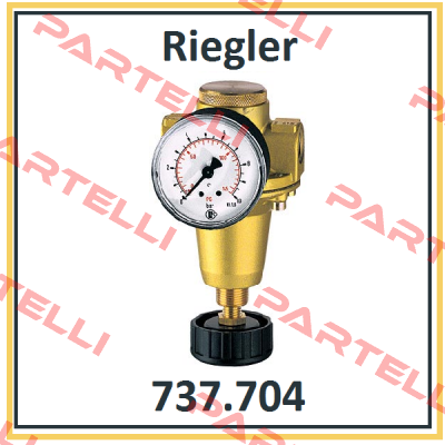 P/N: 100893 Type: 737.704 Riegler