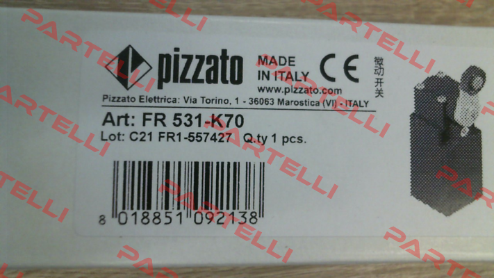 FR 531-K70 Pizzato Elettrica