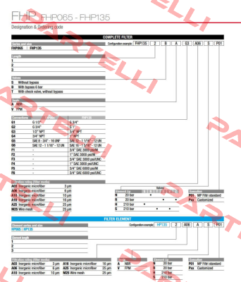 FHP-135-1-B-A-G1-M25-N-P01 MP Filtri