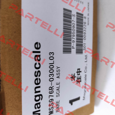 MSS976R-300MM (30-300-30) Magnescale