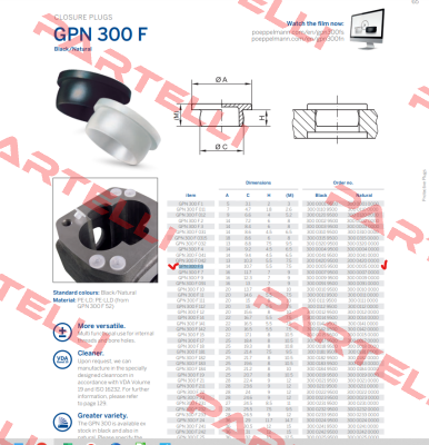 GPN 300 F 5 PT Poppelmann