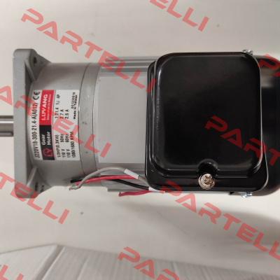 J220V18-300-21.4-A (A012) G3 Luyang Gear Motor